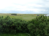 20150731 150903  9-väylän greeni