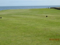 IMG 2329  siellähän ne ovat oikealla