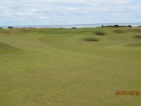 IMG 2539  muotoja riittää kentällä