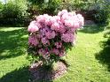 P6200155