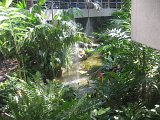 IMG_4919