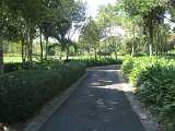 IMG_4934