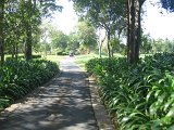 IMG_4943
