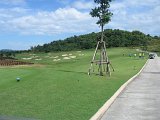 IMG_4971