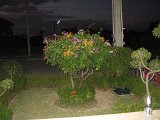 IMG_5004
