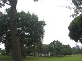 IMG_5013