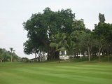 IMG_5014